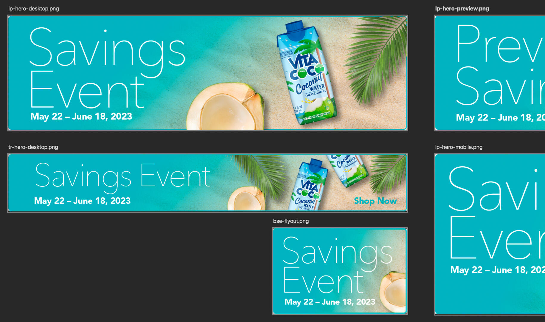 BSE - Vita Coco assets